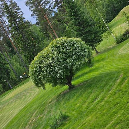 Kesaeaitat Hotell Ähtäri Exteriör bild